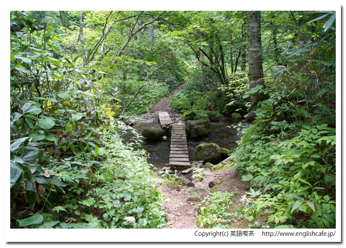 美笛の滝、最初の木橋（北海道千歳市）