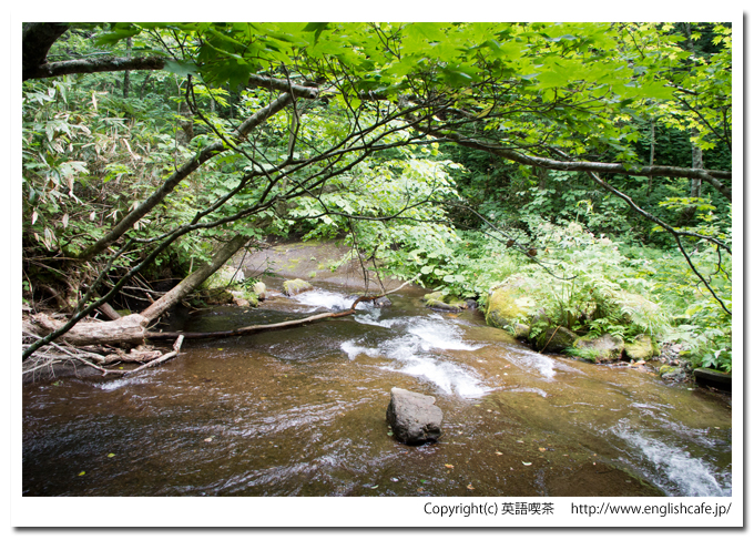 美笛の滝、最初の木橋から見る川の下流側（北海道千歳市）