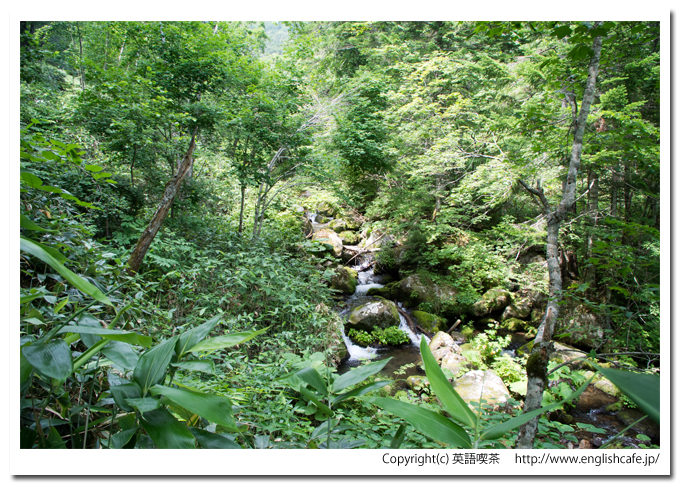 美笛の滝、登ったところからの川の様子（北海道千歳市）