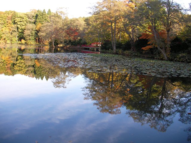 八郎沼の入口付近と水面の紅葉（北海道北斗市）