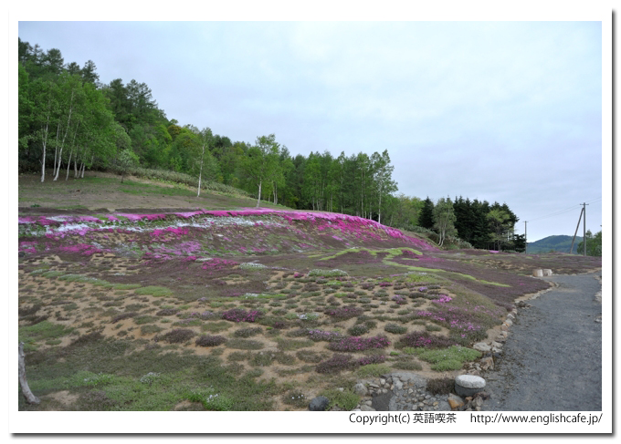 三島さんの芝桜庭園、庭園の入口から入ったところ（北海道倶知安町）