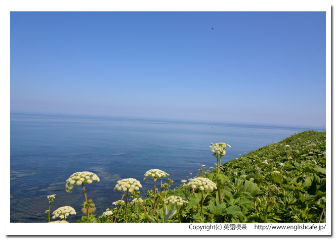 能取岬、能取岬から見る海の景色、先端のほうへ（北海道網走市）