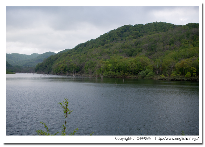 落合ダムのダム湖を、視線を右の方へ（北海道赤井川村）
