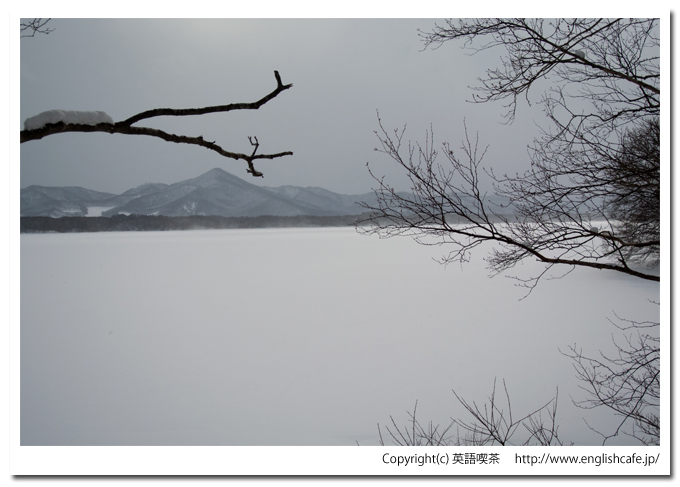 大沼国定公園の白鳥台セバット、凍った大沼（北海道七飯町）