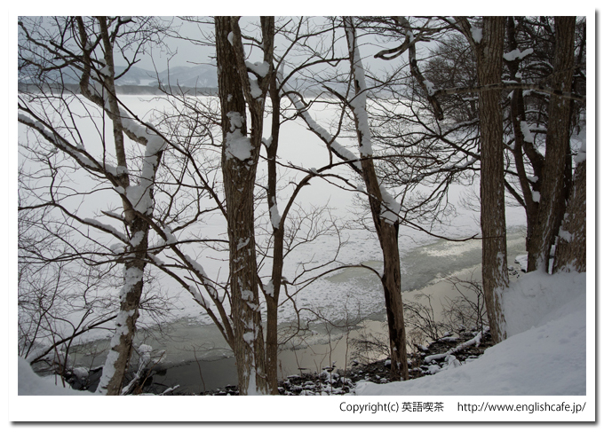 大沼国定公園の白鳥台セバット、凍った大沼（北海道七飯町）