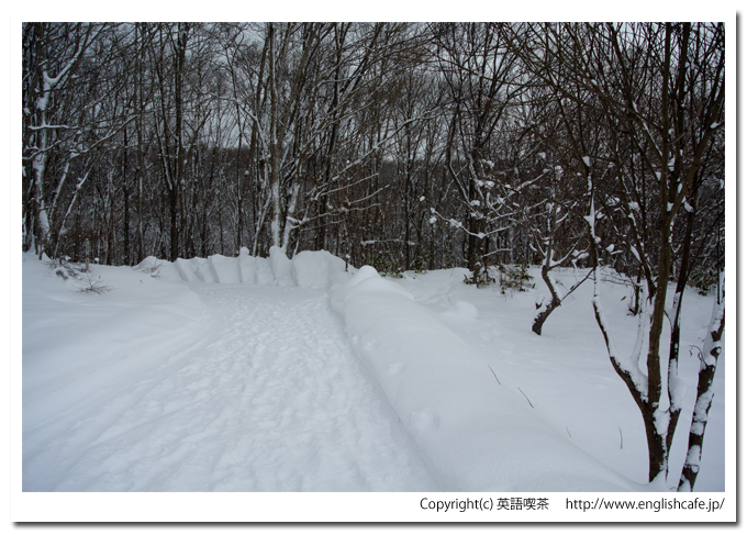 道南四季の杜公園、冒険の丘、里の森（北海道函館市）