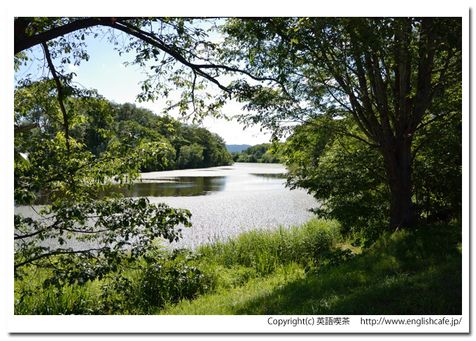 智恵文沼、智恵文沼の湖畔から沼の見る、さらに左側へ（北海道名寄市）