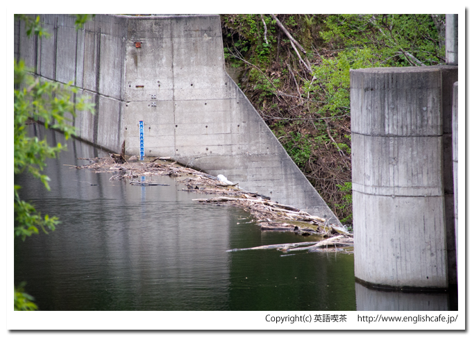 常盤ダムのダム湖と洪水吐へ流れる水（北海道赤井川村）