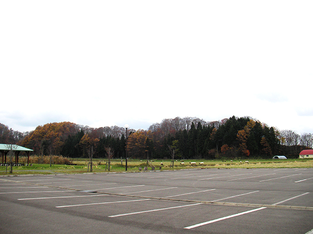 浮島公園の駐車場（北海道久遠郡せたな町）