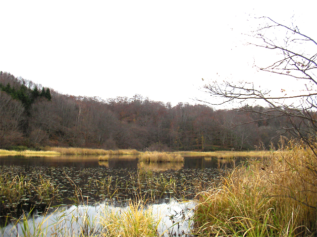 浮島公園のうぐい沼の眺め（北海道久遠郡せたな町）
