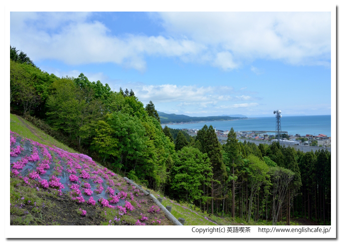 薬師山、薬師山と芝桜と町の風景（北海道上磯郡木古内町）