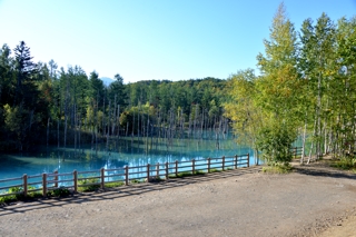 青い池（再訪）（北海道美瑛町）