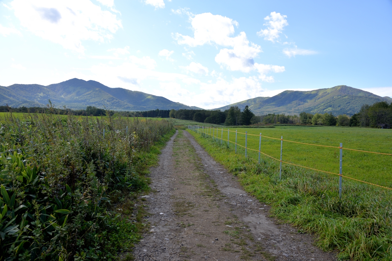 しばた牧場のへの道（なつぞらセット）（北海道新得町）