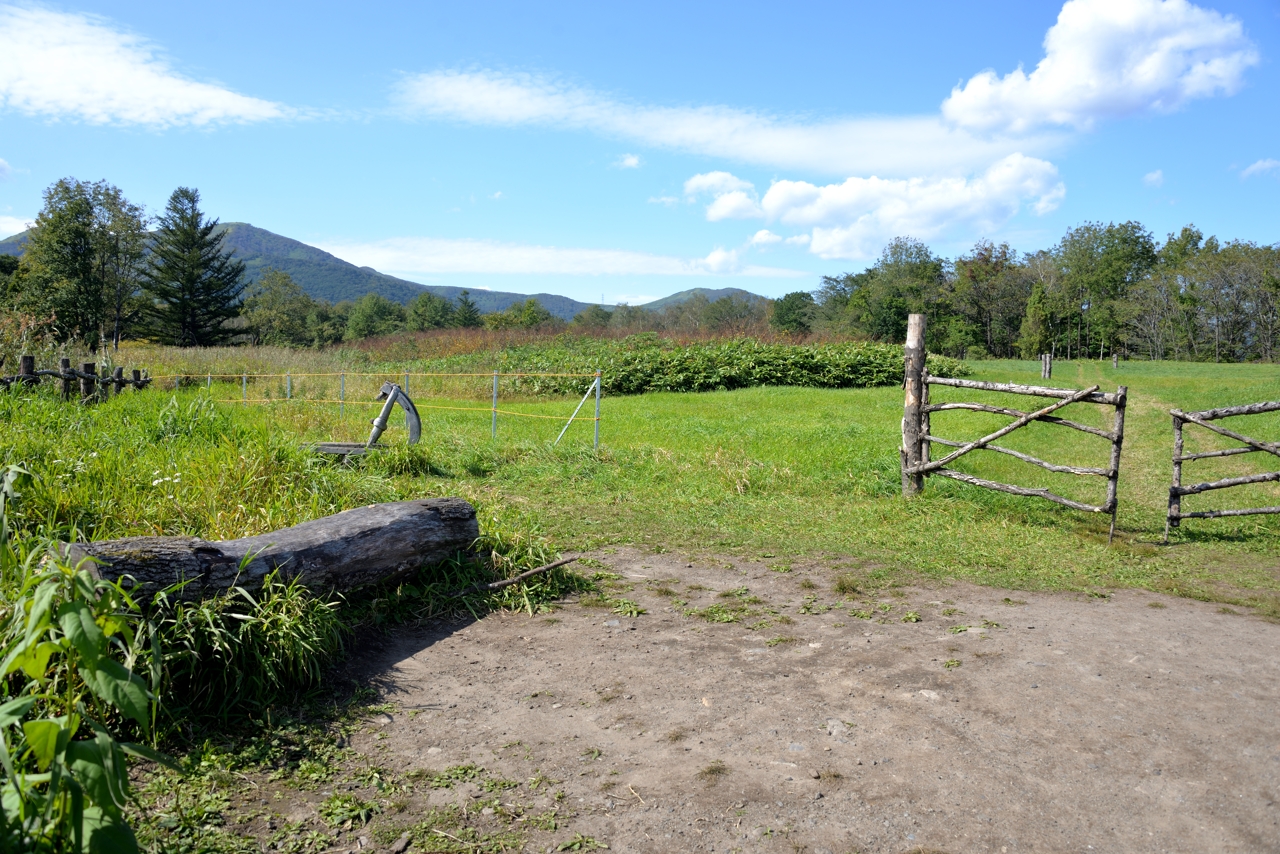 しばた牧場のへの道（なつぞらセット）（北海道新得町）