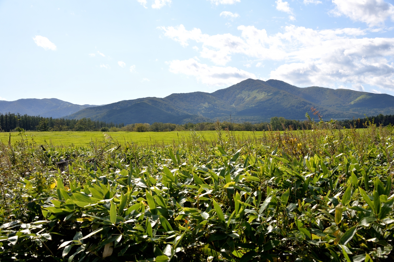 しばた牧場のへの道（なつぞらセット）（北海道新得町）