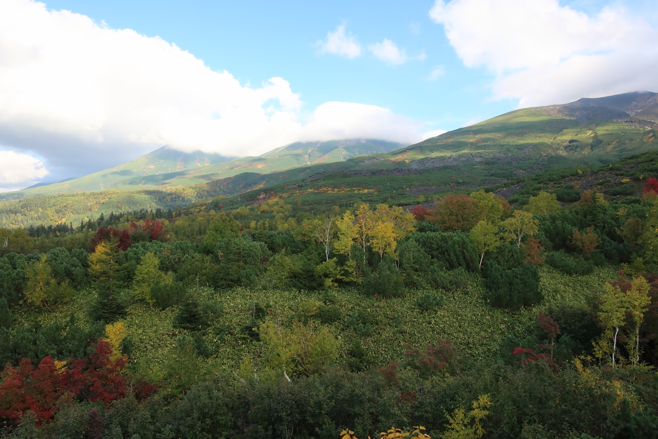 望岳台（北海道美瑛町）