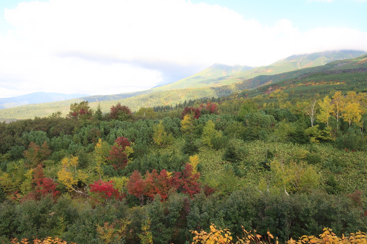 望岳台（北海道美瑛町）