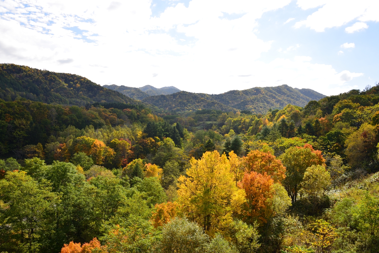 旧三井芦別鉄道炭山川橋梁（北海道芦別市）