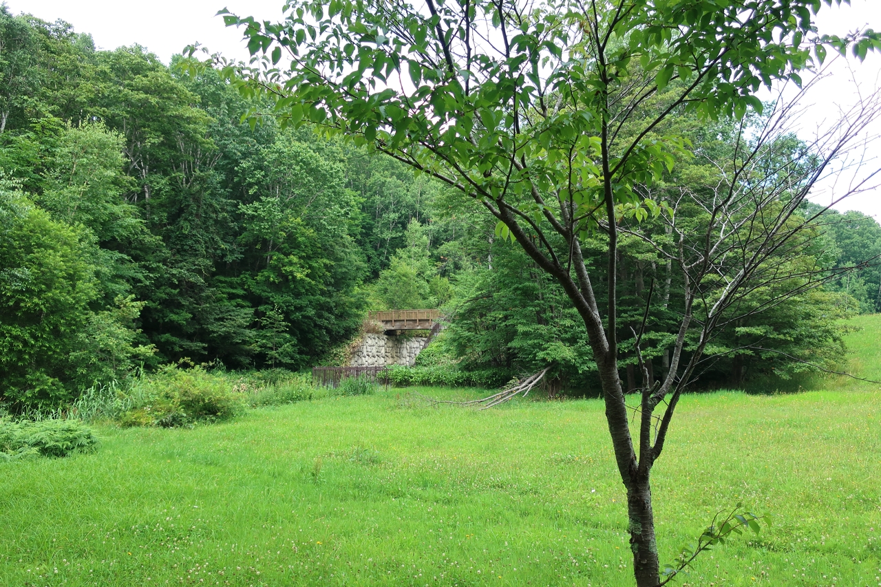 瑞穂の池（野幌森林公園）（北海道江別市）