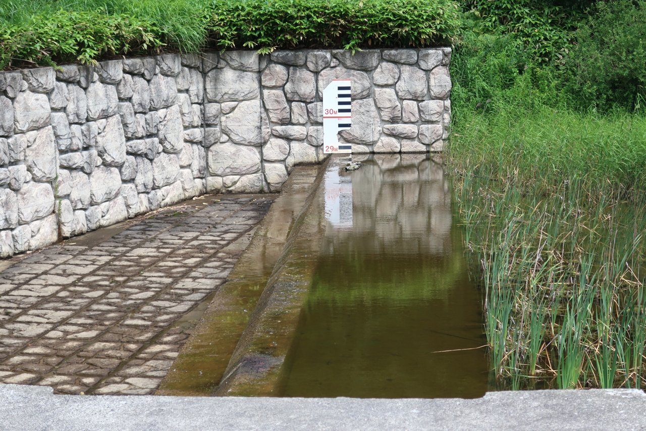 瑞穂の池（野幌森林公園）（北海道江別市）