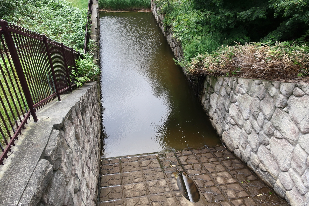 瑞穂の池（野幌森林公園）（北海道江別市）