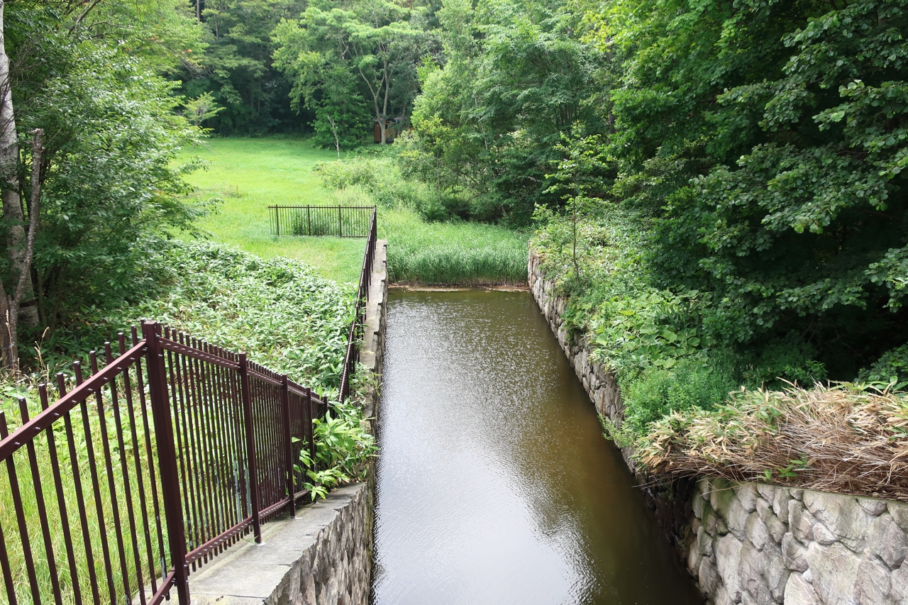 瑞穂の池（野幌森林公園）（北海道江別市）