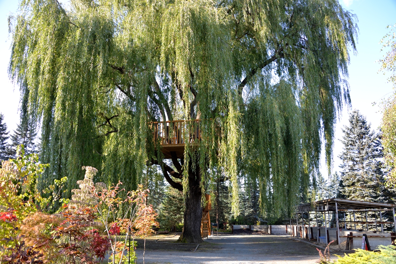 天陽の馬小屋と家（なつぞらセット）（真鍋公園）（北海道帯広市）